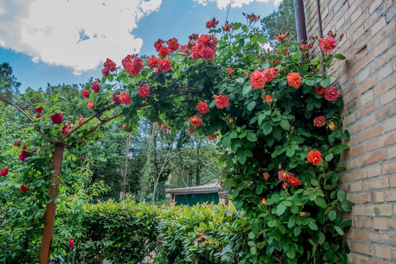 Hostal I Due Cipressi Torrenieri Exterior foto